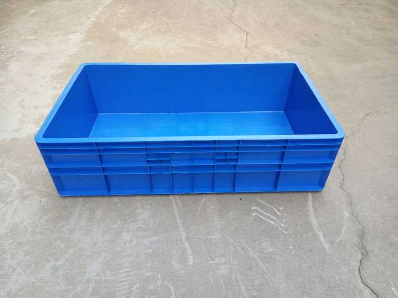 fish container