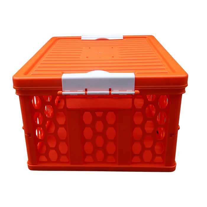 cargo transport  plastic box